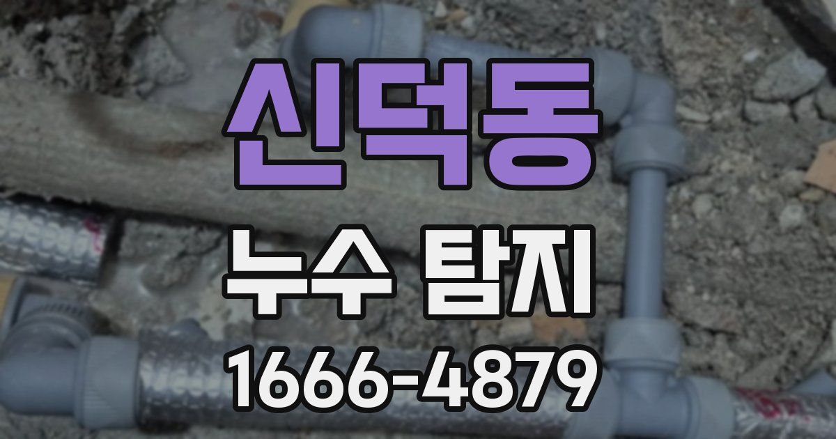 신덕동 누수 탐지
