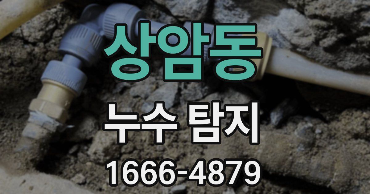 상암동 누수 탐지