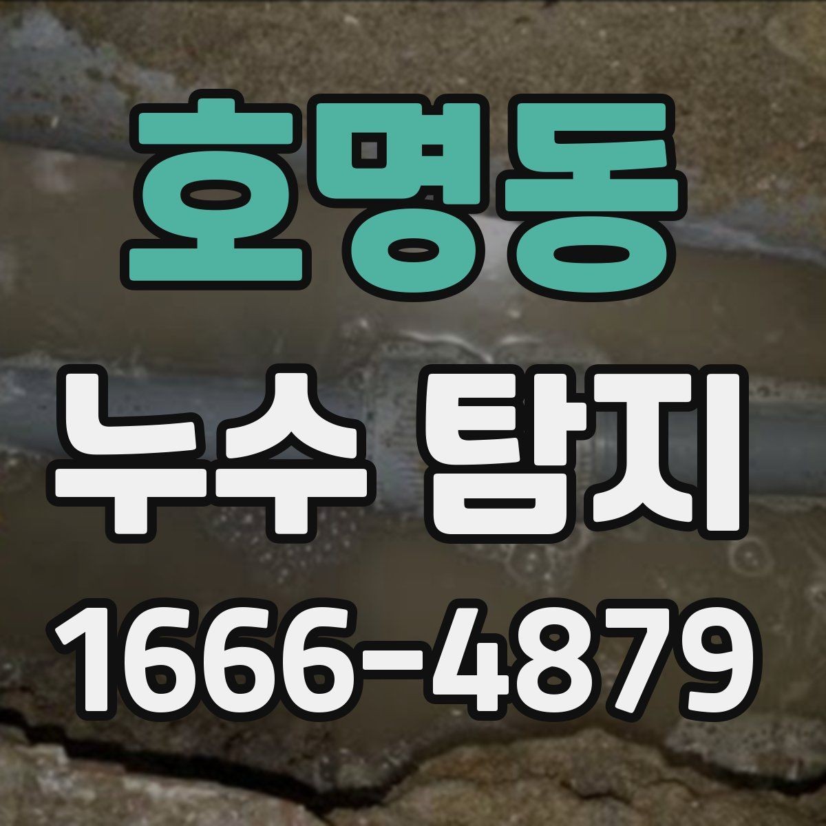 호명동 누수 탐지 장비 선택 시 참고할 기준