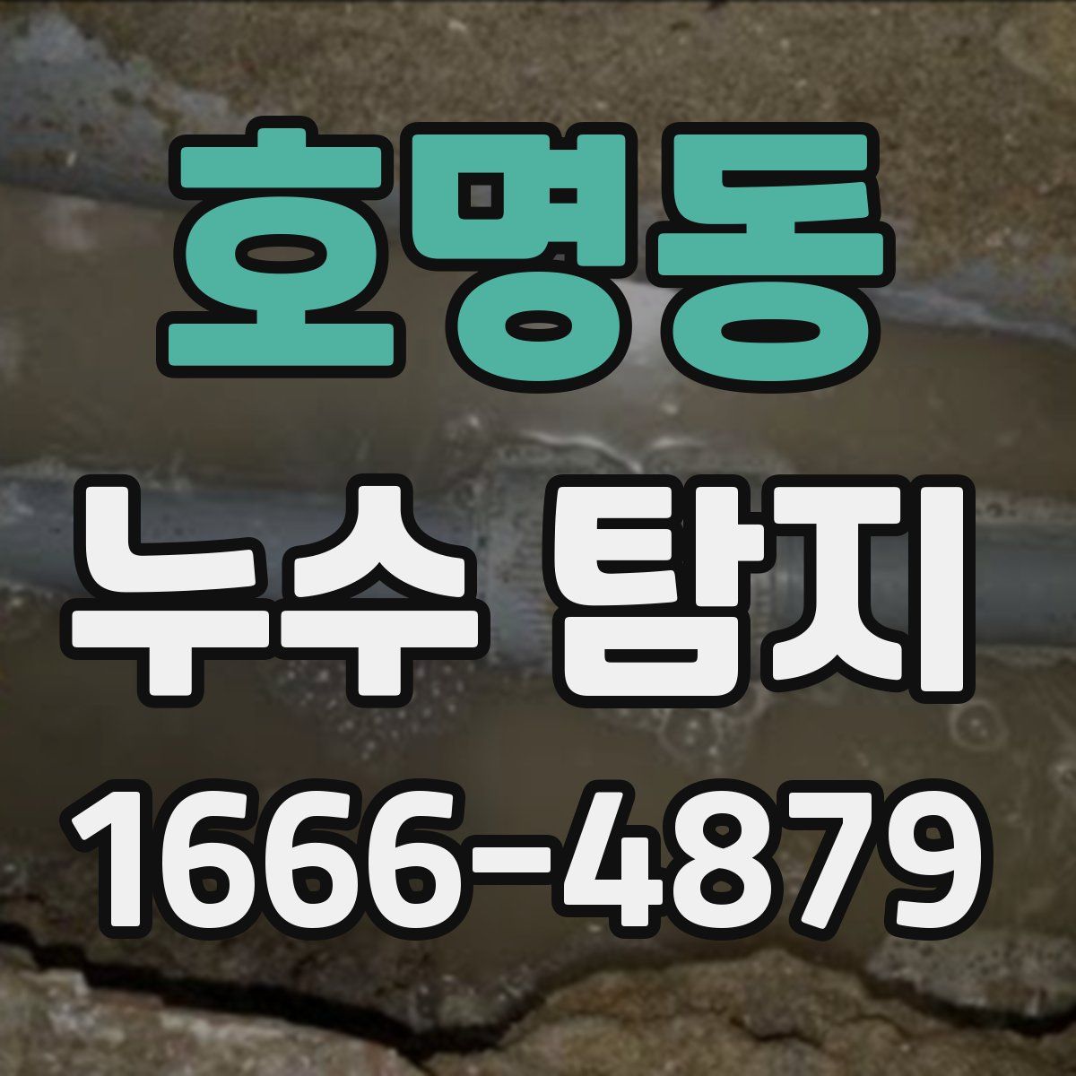 호명동 누수 탐지