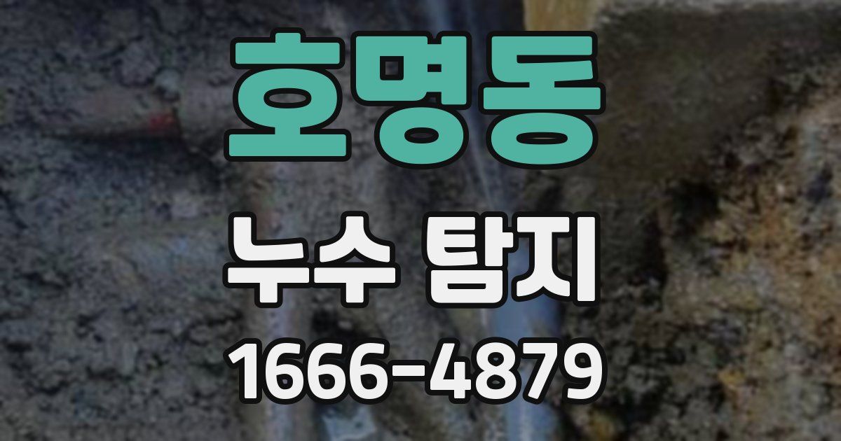 호명동 누수 탐지