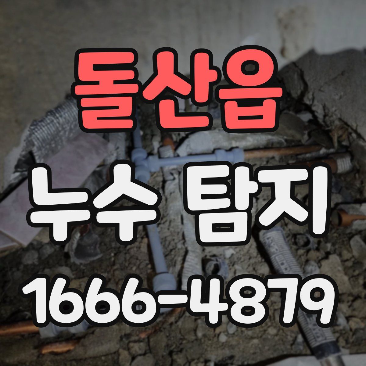 돌산읍 누수 탐지
