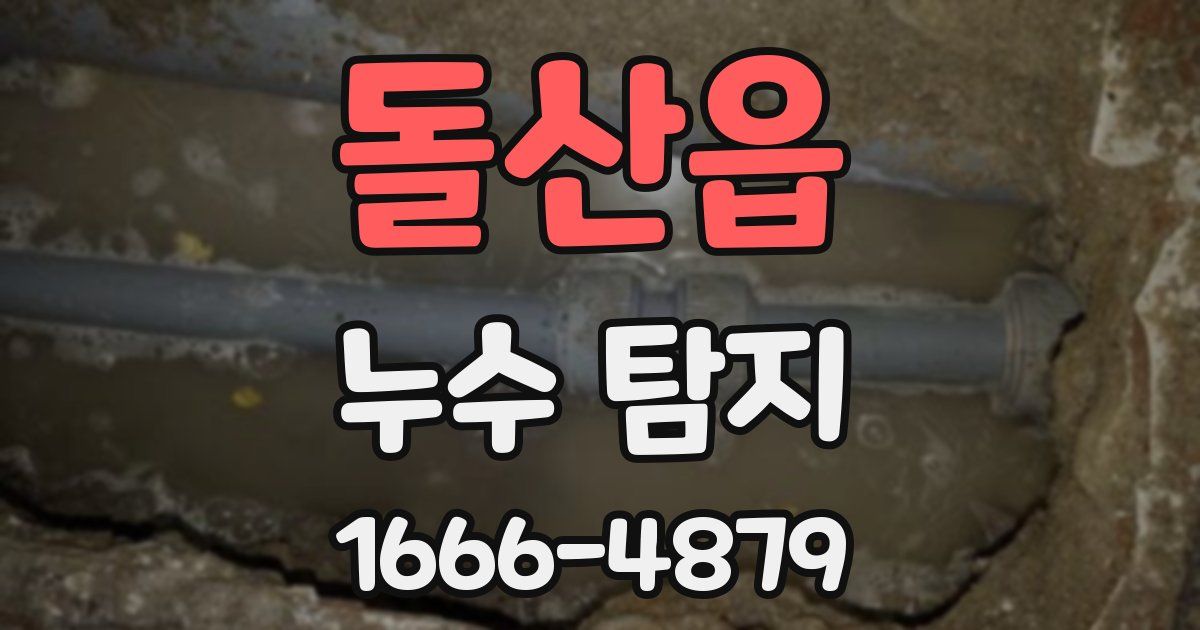 돌산읍 누수 탐지