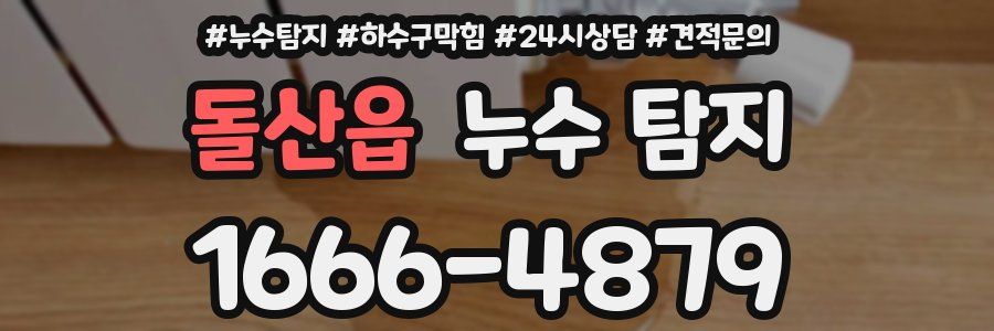돌산읍 누수 탐지