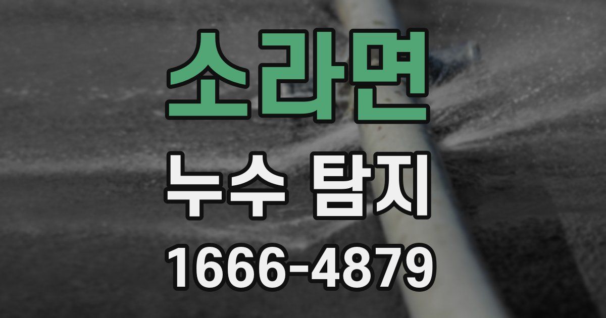 소라면 누수 탐지