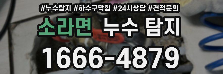 소라면 누수 탐지