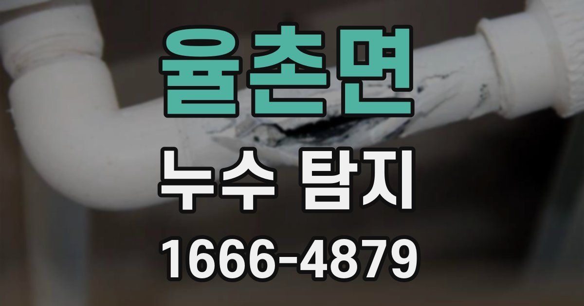 율촌면 누수 탐지