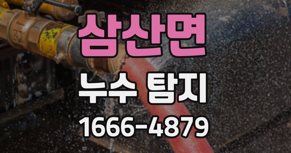 삼산면 누수 탐지