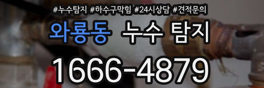 와룡동 누수 탐지