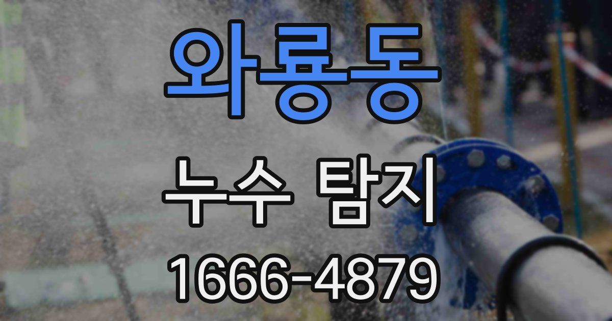 와룡동 누수 탐지