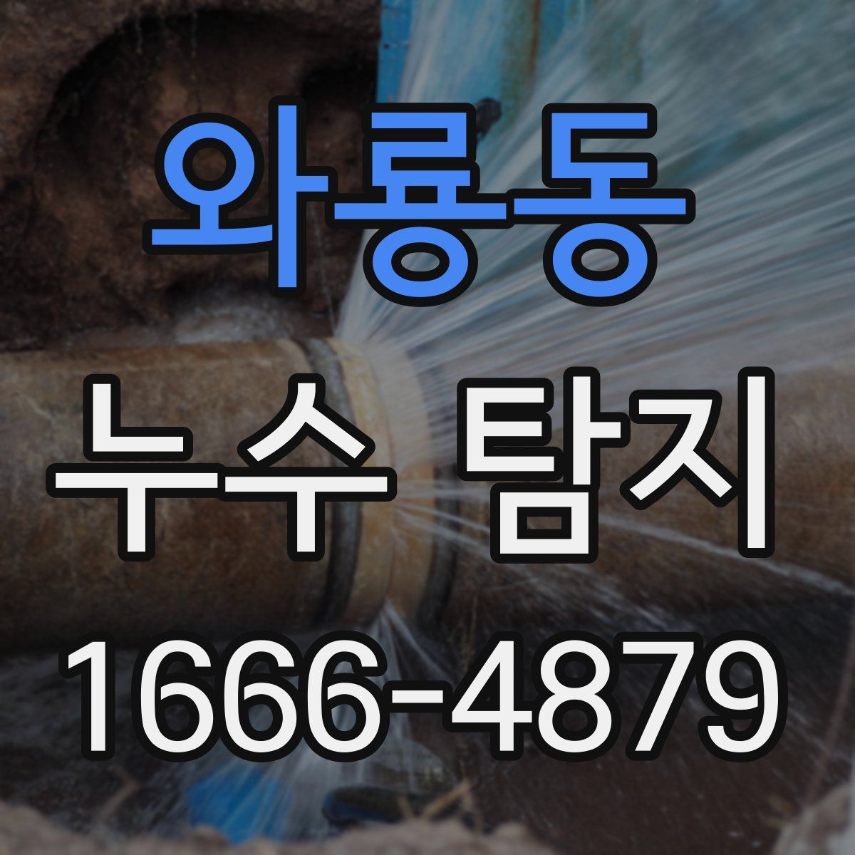 와룡동 누수 탐지