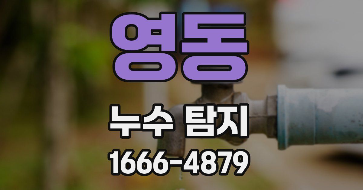 영동 누수 탐지