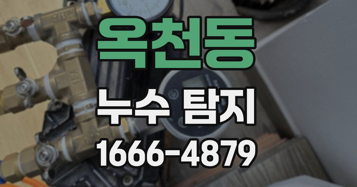 옥천동 누수 탐지