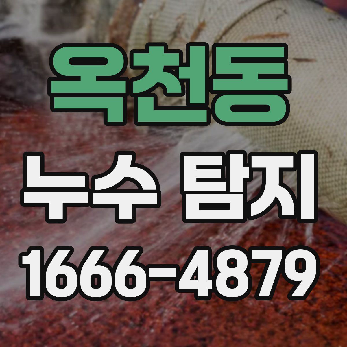옥천동 누수 탐지