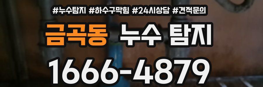 금곡동 누수 탐지