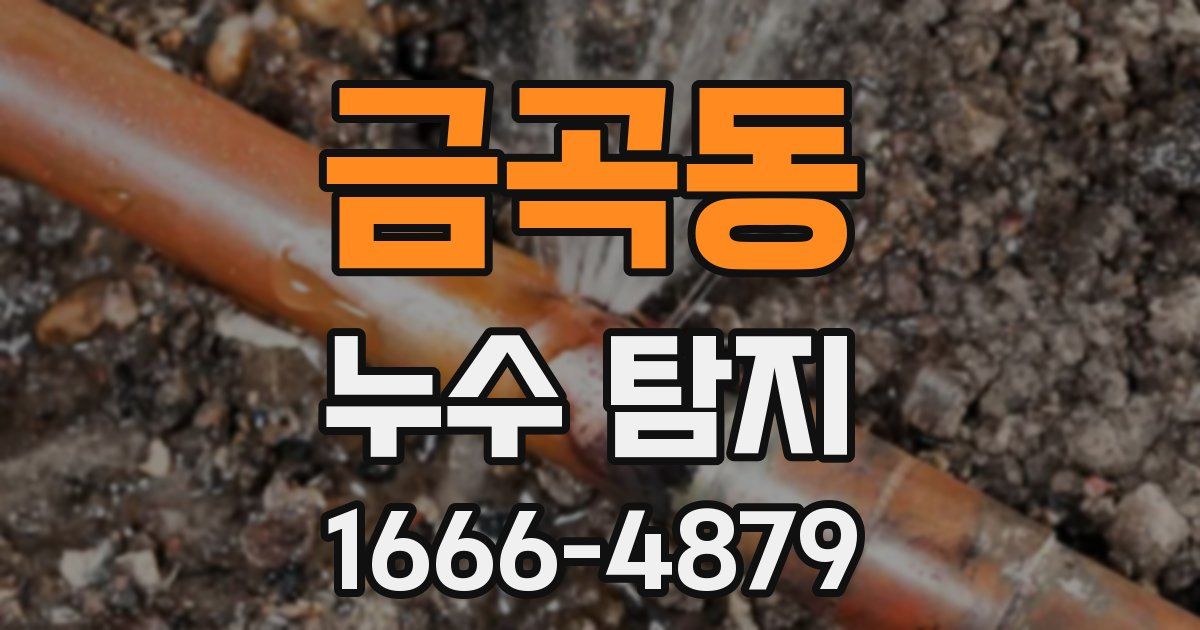 금곡동 누수 탐지