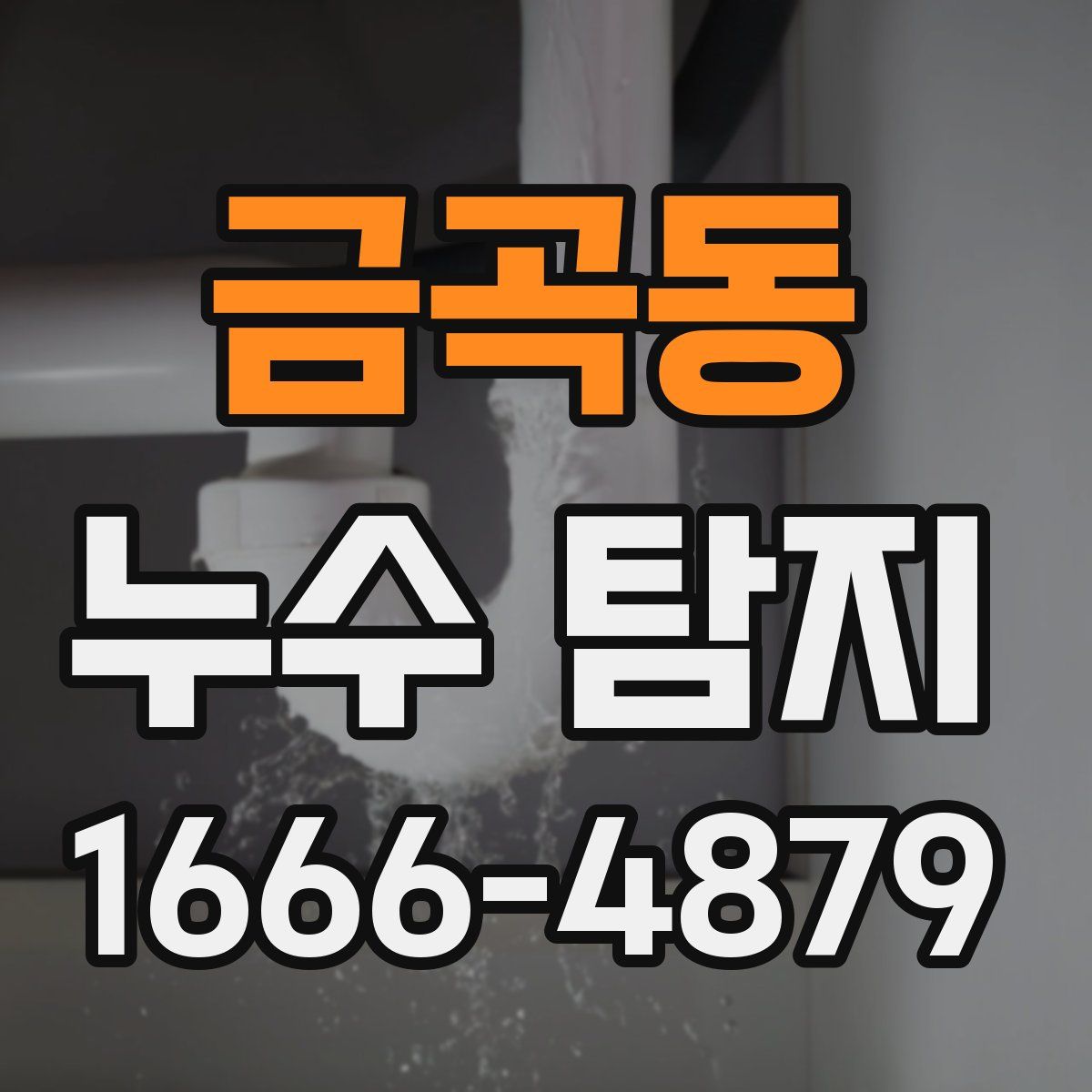 금곡동 누수 탐지