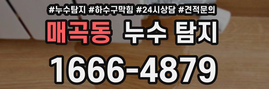 매곡동 누수 탐지