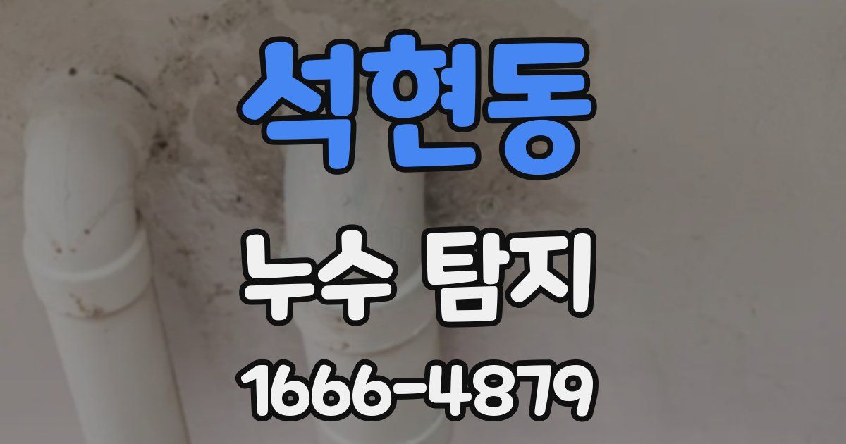 석현동 누수 탐지