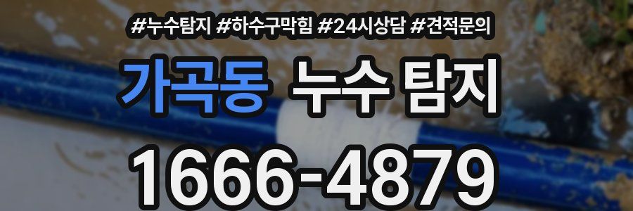 가곡동 누수 탐지