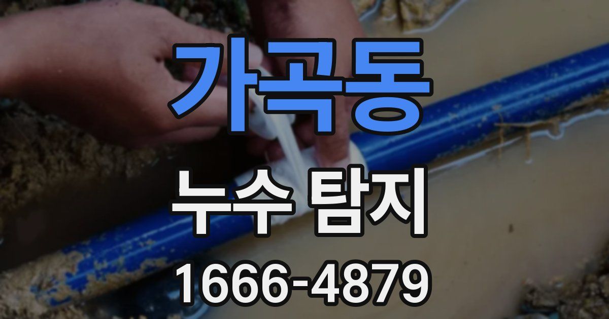 가곡동 누수 탐지