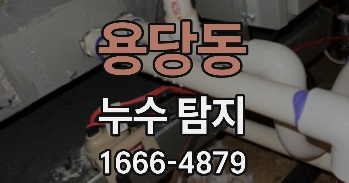 용당동 누수 탐지