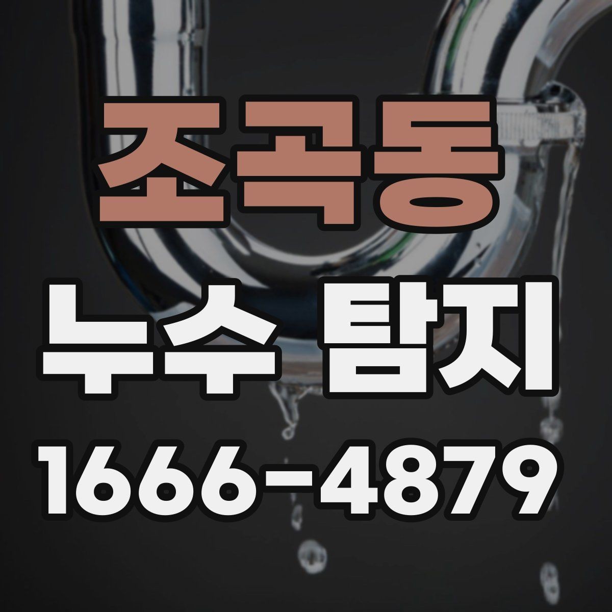 조곡동 누수 탐지 사례로 보는 주방과 욕실 문제
