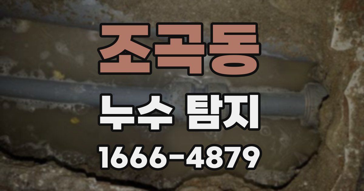 조곡동 누수 탐지