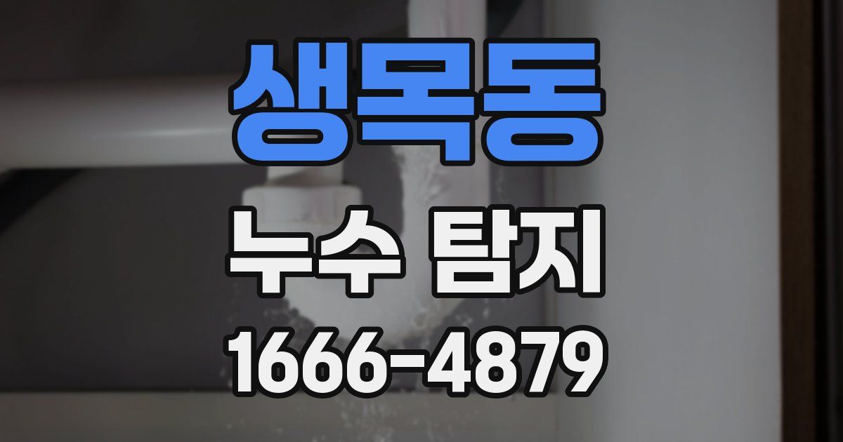 생목동 누수 탐지
