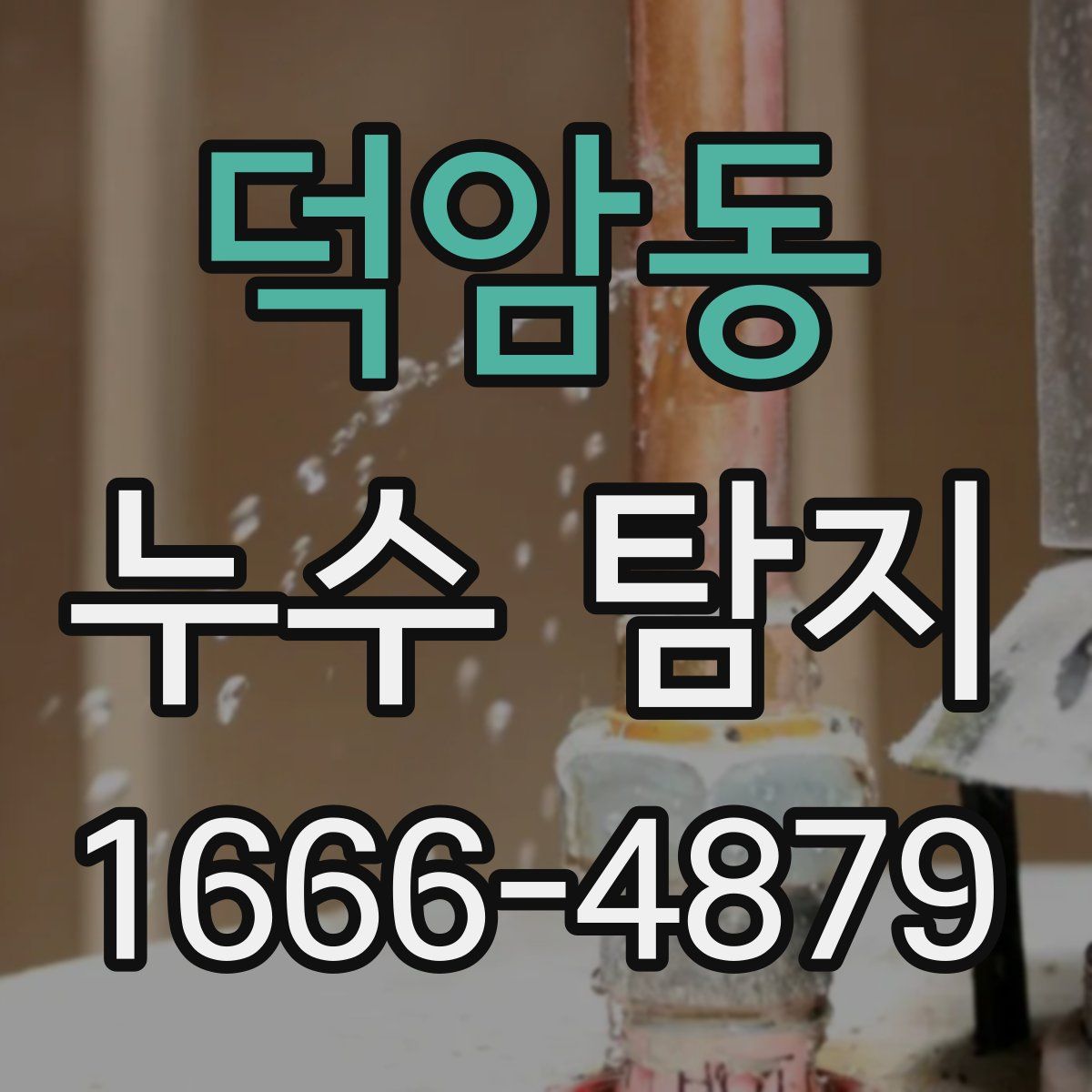 덕암동 누수 탐지