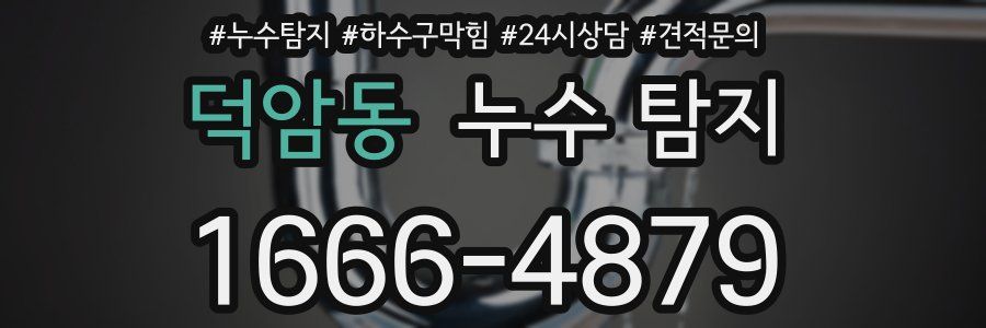 덕암동 누수 탐지