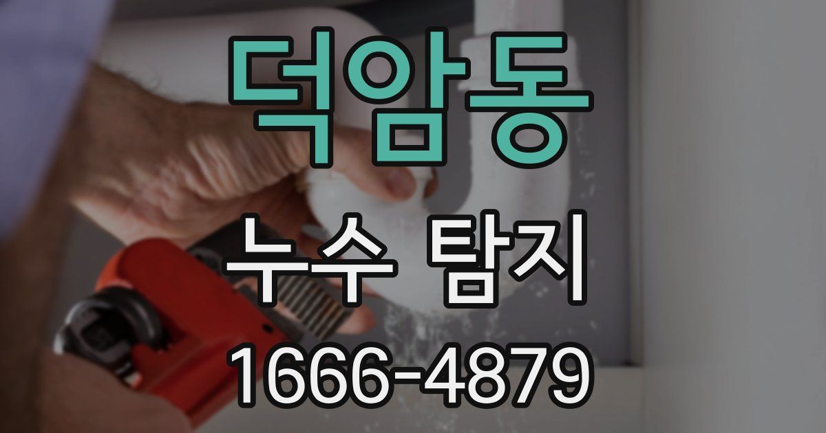 덕암동 누수 탐지