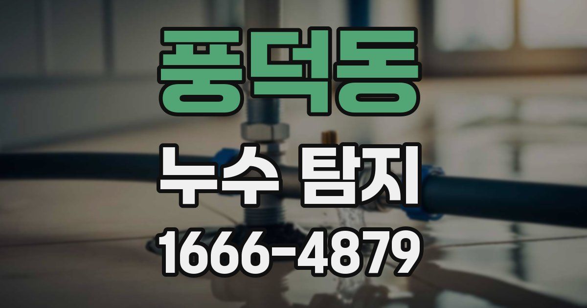 풍덕동 누수 탐지