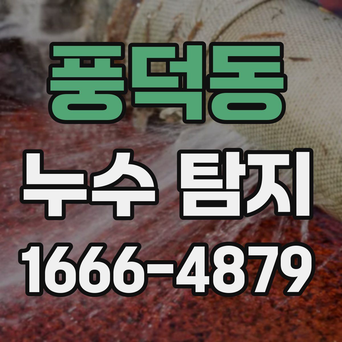 풍덕동 누수 탐지