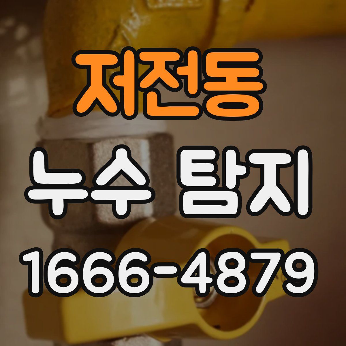 저전동 누수 탐지