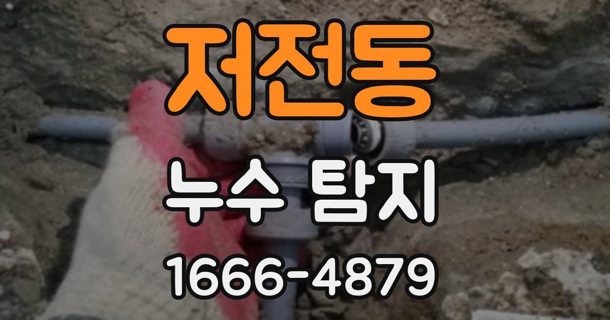 저전동 누수 탐지