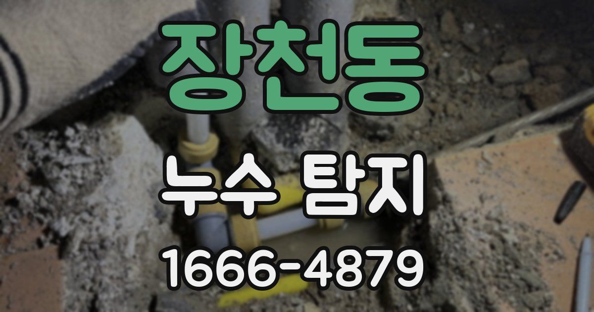 장천동 누수 탐지