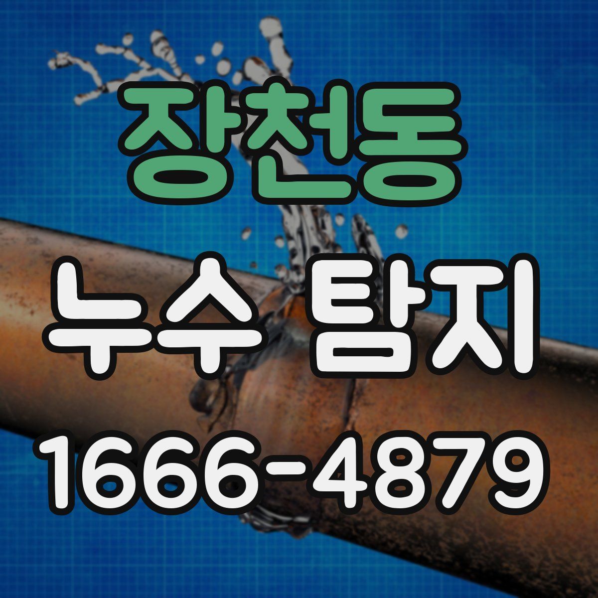 장천동 누수 탐지