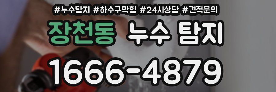 장천동 누수 탐지