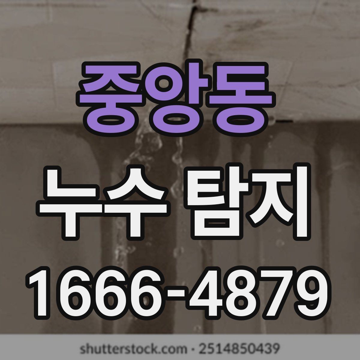 중앙동 누수 탐지 결과를 바탕으로 한 유지 관리 팁