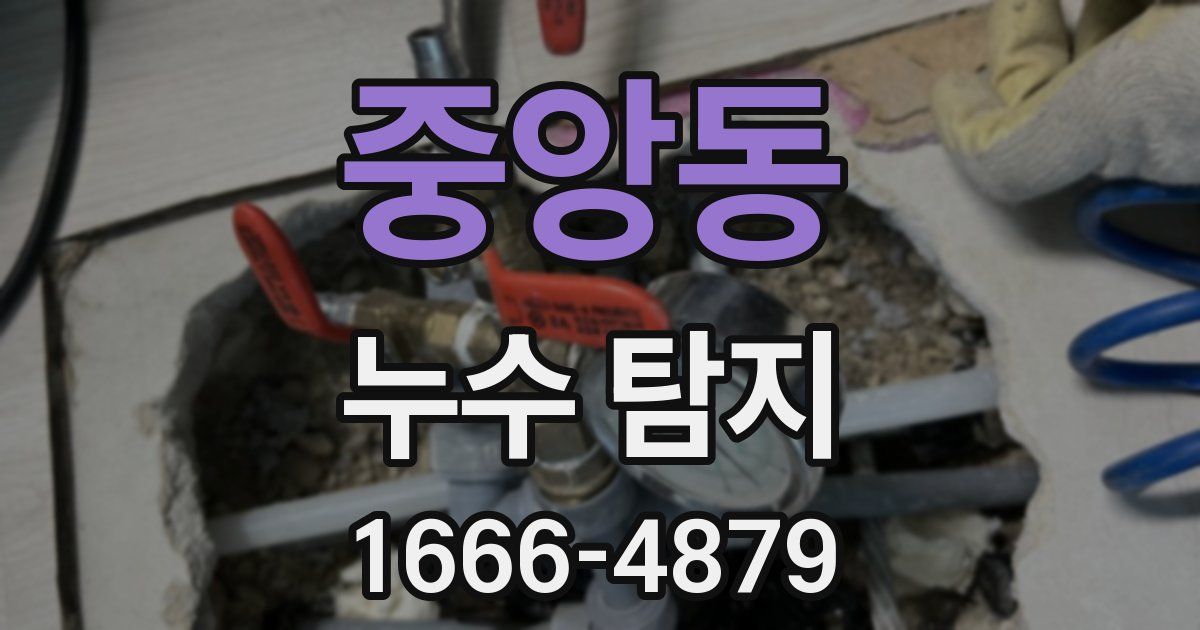 중앙동 누수 탐지