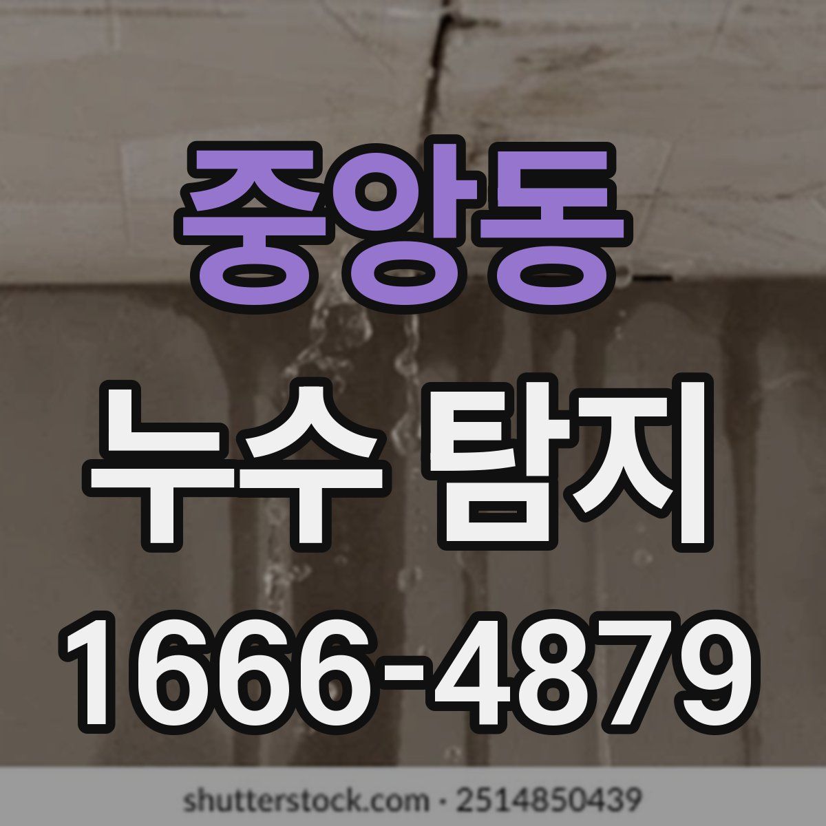 중앙동 누수 탐지