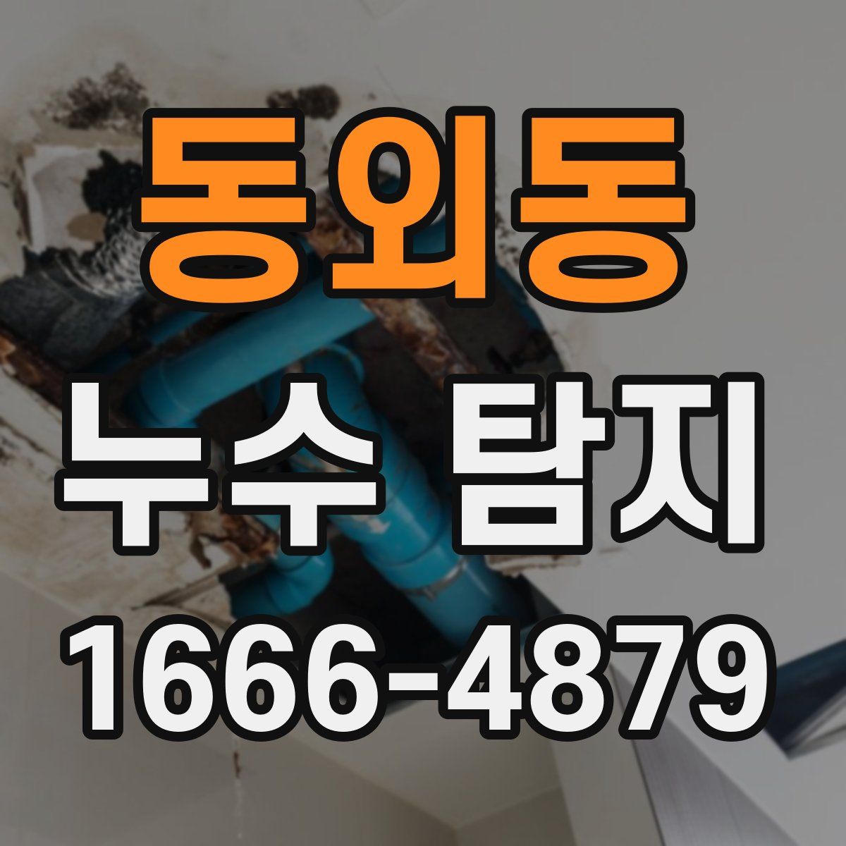 동외동 누수 탐지