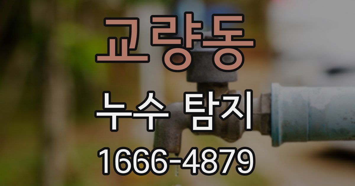 교량동 누수 탐지