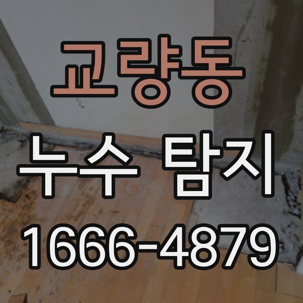 교량동 누수 탐지