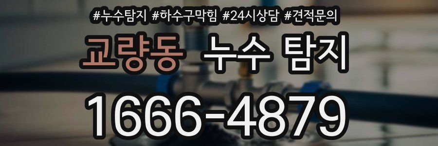 교량동 누수 탐지