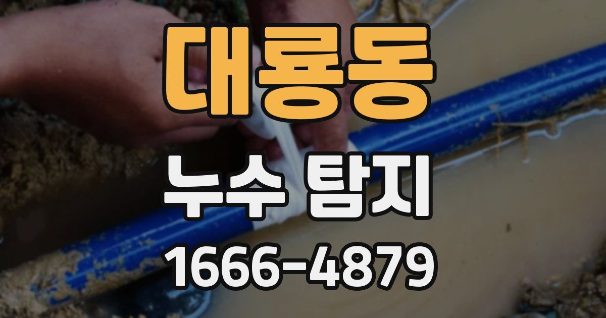 대룡동 누수 탐지