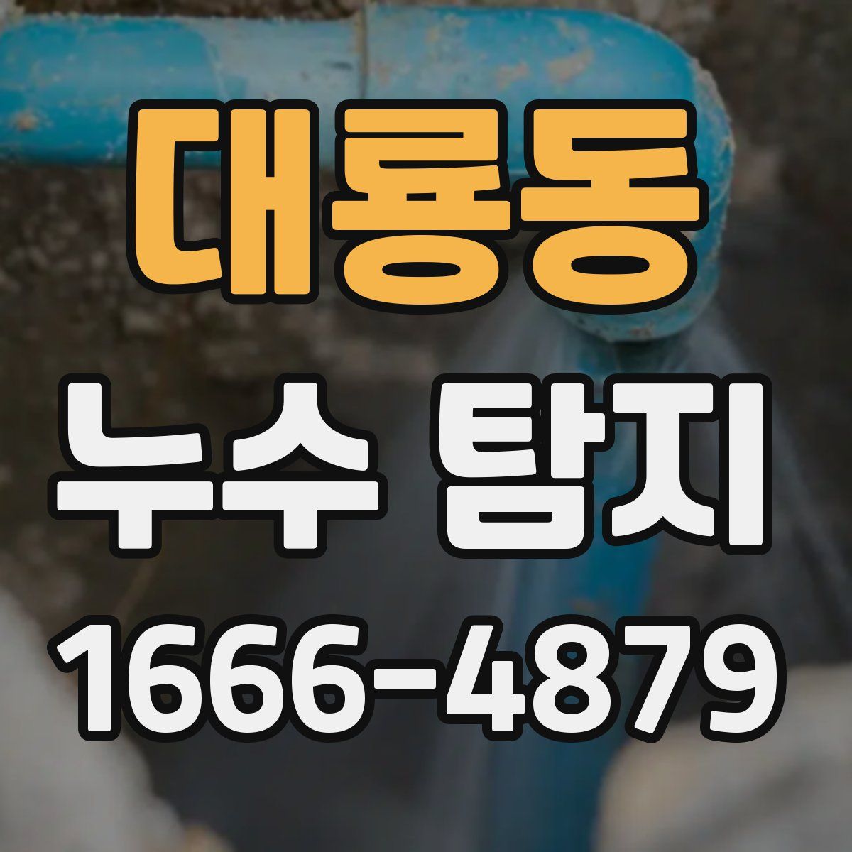 대룡동 누수 탐지