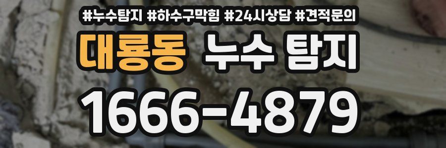 대룡동 누수 탐지