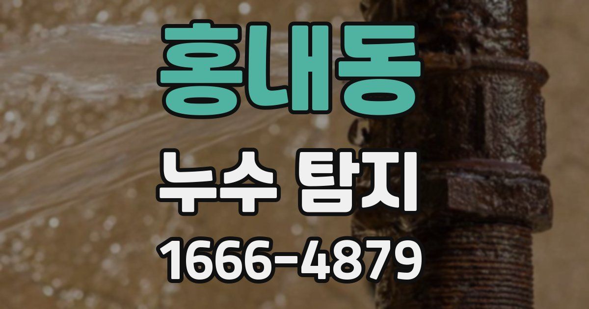 홍내동 누수 탐지